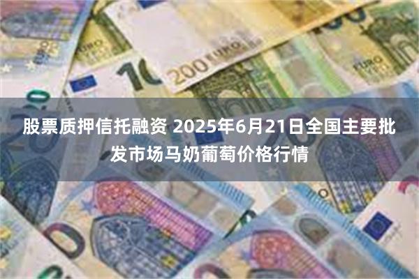 股票质押信托融资 2025年6月21日全国主要批发市场马奶葡萄价格行情