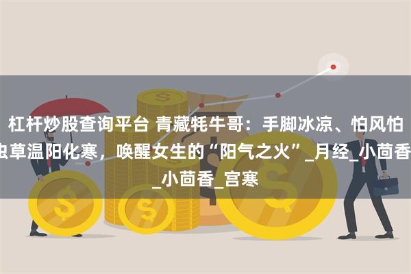 杠杆炒股查询平台 青藏牦牛哥：手脚冰凉、怕风怕冷？虫草温阳化寒，唤醒女生的“阳气之火”_月经_小茴香_宫寒