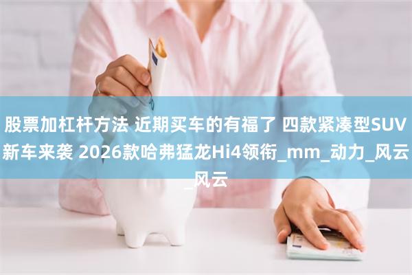 股票加杠杆方法 近期买车的有福了 四款紧凑型SUV新车来袭 2026款哈弗猛龙Hi4领衔_mm_动力_风云